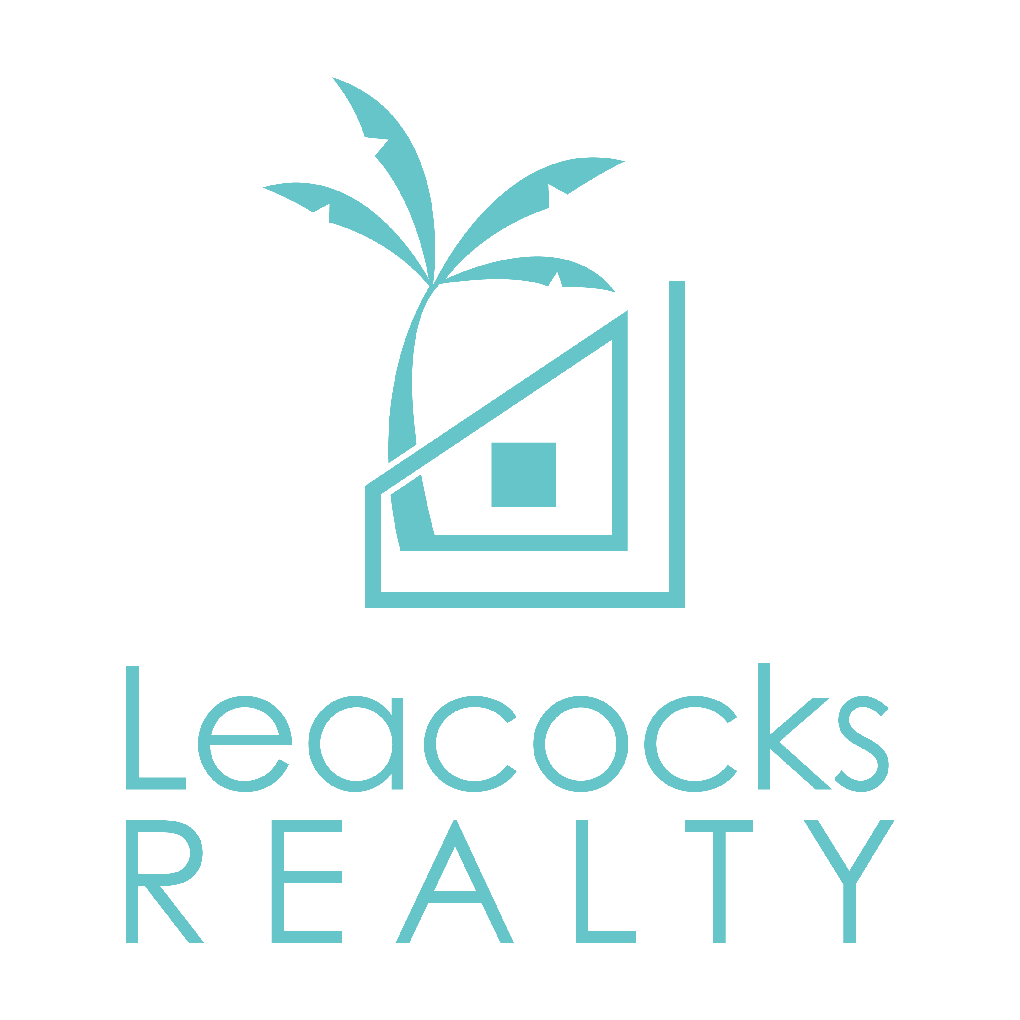 Leacocks Realty