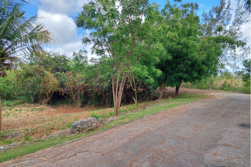 Land for Sale - #1C Station Hill