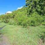 Land for Sale - Chancery Lane, Christ Church